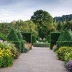 Royal Horticultural Society: Rosemoor Garden Ticket - Setting and Location