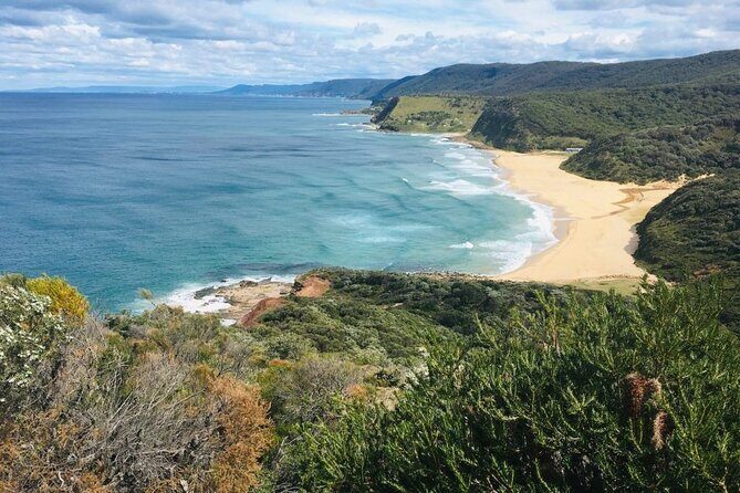 Royal National Park Hike, Swim and Wildlife Tour - A Deep Dive into the Royal National Park Adventure