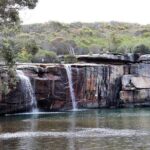 Royal National Park Private Tour - Practical Details and Considerations