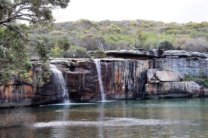 Royal National Park Private Tour - Practical Details and Considerations