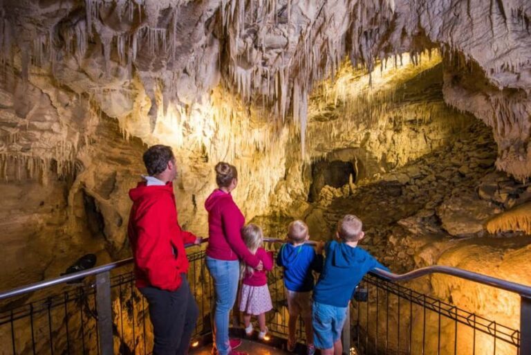 RUAKURI CAVE & HAMILTON GARDENS-PRIVATE TOUR FROM AUCKLAND - A Deep Dive Into the Experience