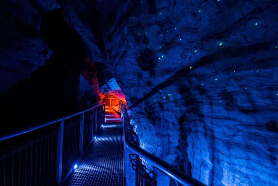 RUAKURI CAVES & HAMILTON GARDENS - Day Tour from Auckland - Detailed Itinerary Breakdown