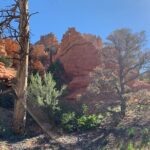 Ruby's Horseback Adventures Utah Half Day Ride - The Real Value of Ruby’s Half-Day Ride