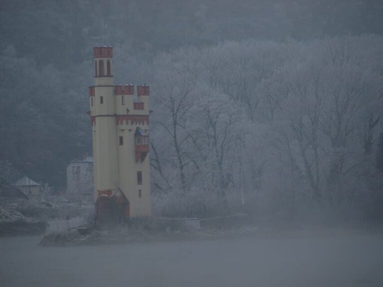 Rüdesheim am Rhein: Christmas Boat Cruise on the Rhine - In-Depth Review of the Christmas Boat Cruise Experience