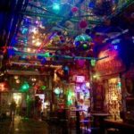 Ruin Pub Walking Tour with a Local Hostess in Budapest - Who Should Choose This Tour?