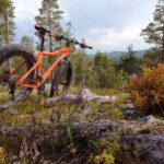 Ruka : Into the forest with fatbikes - Final Thoughts: Is This the Right Tour for You?