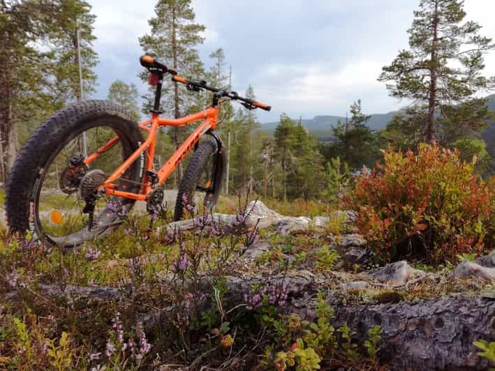 Ruka : Into the forest with fatbikes - Final Thoughts: Is This the Right Tour for You?