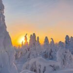 Ruka: Riisitunturi National Park with lunch. - Why This Tour Offers Great Value