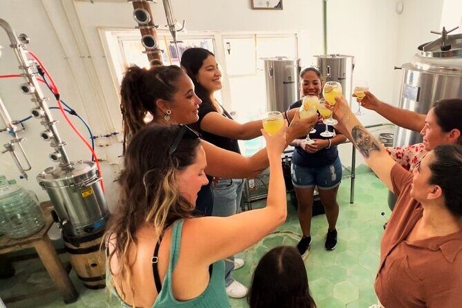 Rum and Gin at Cozumel First Distillery - Who Will Enjoy This Tour?