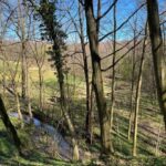 Rzeszów: Countryside trip with bonfire & sausage grilling - An in-depth look at the experience
