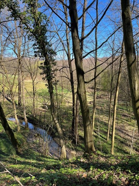 Rzeszów: Countryside trip with bonfire & sausage grilling - An in-depth look at the experience