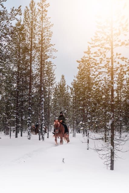 Saariselkä: Arctic Trail Horse Riding Tour - Key Points