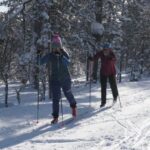Saariselkä: Cross-Country Ski Lesson - Practicalities and Considerations