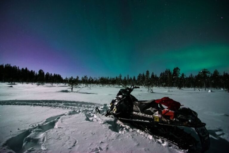 Saariselkä: Evening Snowmobile Tour with Fire & picnic - Discovering the Arctic Wilderness at Night