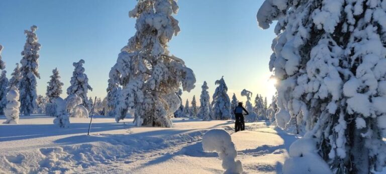 Saariselkä: Guided Fatbike Tour - FAQ