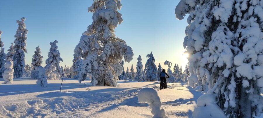 Saariselkä: Guided Fatbike Tour - FAQ