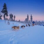 Saariselkä: Husky Safari with Aurora Borealis Hunt - Who Should Consider This Tour?