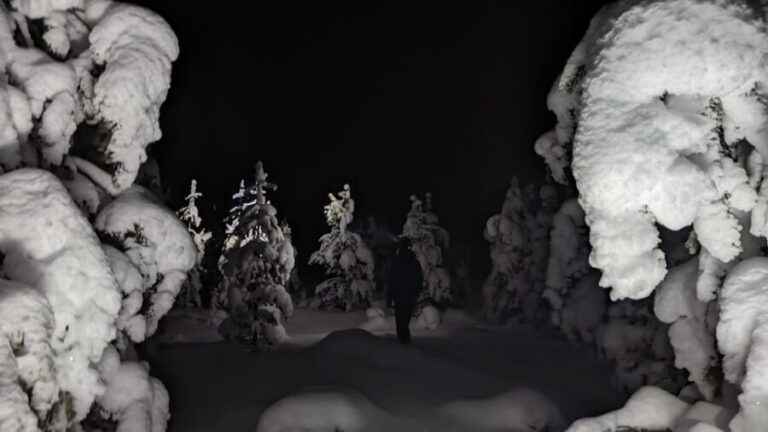 Saariselkä: Snowshoeing Tour in Urho Kekkonen National Park - In-Depth Look at the Snowshoeing Tour