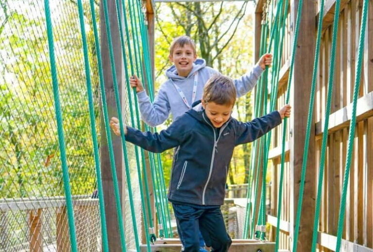 Saarland: Treetop Walk Saarschleife & Lookout Tower - Introduction: Discovering Saarland from New Heights