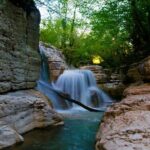 Sabaduri forest, Chronicles of Georgia, wolves and bears Zoo - What Makes This Tour Stand Out