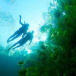 Sacred Adventure at Xenotes! 4 Different Cenotes + Round Transportation - Final Thoughts