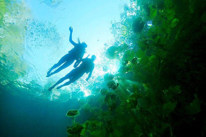 Sacred Adventure at Xenotes! 4 Different Cenotes + Round Transportation - Final Thoughts