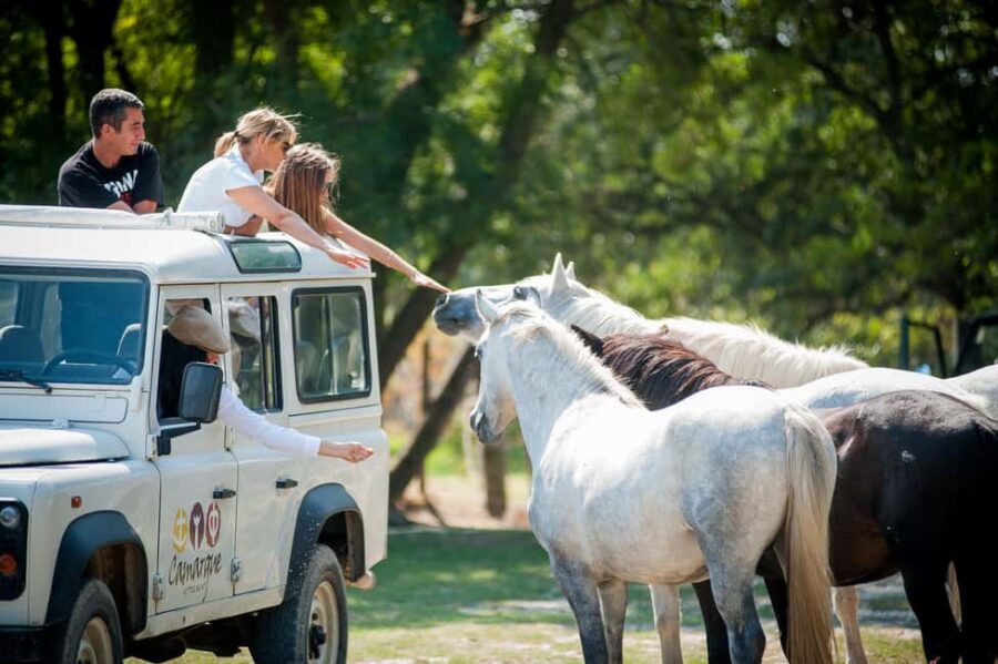 Safari 4x4 in Camargue / VIP Tour 3h30 / Grau du Roi - The Landmarks and Wildlife You’ll Encounter