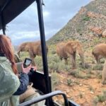 SAFARI Aquila Game Reserve - Round trip + Lunch incl. (Cape Town) - Final Thoughts: Is It Worth It?