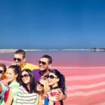 Safari in Rio Lagartos, Coloradas and Mayan Bath - Who Is This Tour Best For?