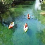 Safari kayak adventure w BBQ & Beer - Experience Details and Practicalities