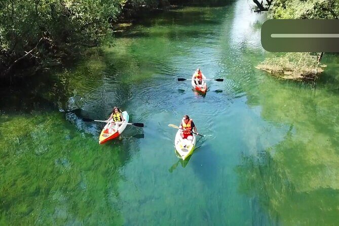 Safari kayak adventure w BBQ & Beer - Experience Details and Practicalities