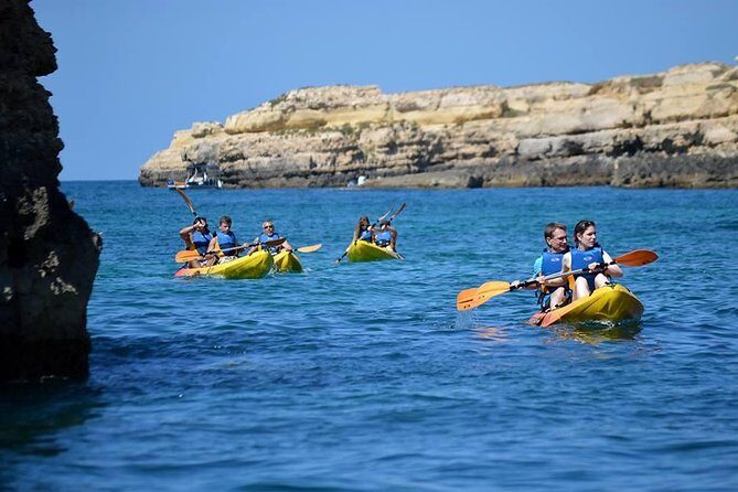 Safari & Kayaking Tour - Exploring the Itinerary: What You Can Expect