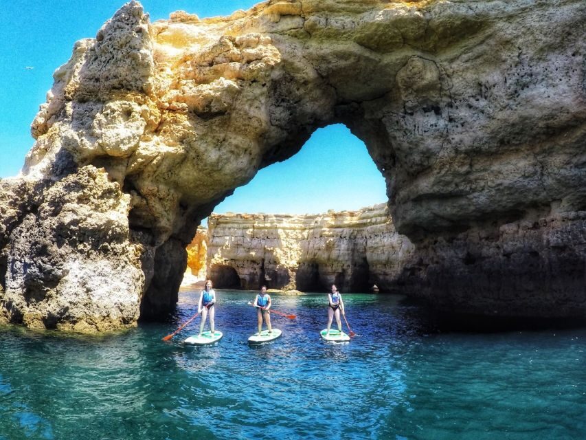 Safari & Kayaking - Final Thoughts: Who Should Sign Up?