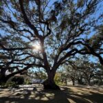 Safety Harbor: Food and Drink Tour with a Local Guide - FAQ