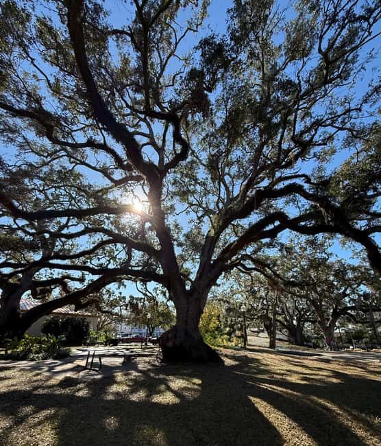 Safety Harbor: Food and Drink Tour with a Local Guide - FAQ