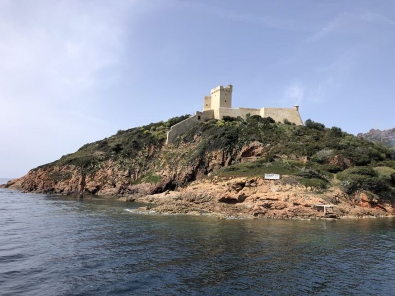 Sagone/Cargèse: Croisière Scandola, Piana, Girolata Baignade - What the Reviews Say