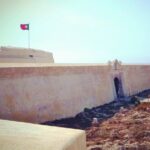 Sagres & Cape St. Vincent Half-Day Tour - A Detailed Look at the Tour Experience