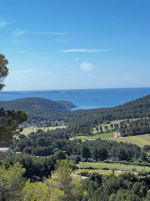 Saint-Cyr-sur-Mer: guided hike to the sand dune - What’s Included and What to Budget For