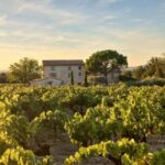 Saint-Didier: visit a vineyard & taste organic wines - Final Thoughts