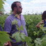 Saint-Émilion: 2 hours - Visit of the vineyard, the cellar and tasting - Who Will Love This Tour?