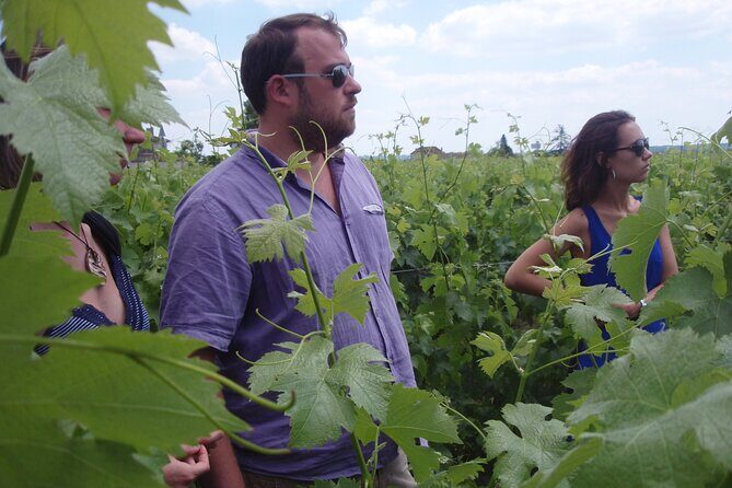 Saint-Émilion: 2 hours - Visit of the vineyard, the cellar and tasting - Who Will Love This Tour?