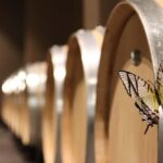 Saint Emilion: Family tour of the Maison Cardinale and tasting of three wines - FAQs