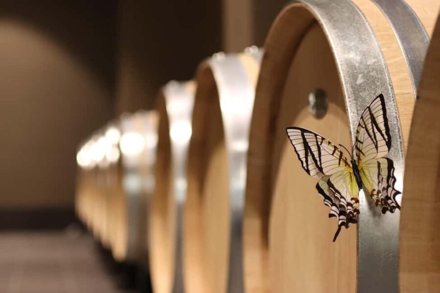 Saint Emilion: Family tour of the Maison Cardinale and tasting of three wines - FAQs