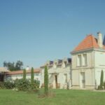 Saint-Émilion: Family Vineyard Visit with Wine Tasting - An In-Depth Look at the Tour Experience