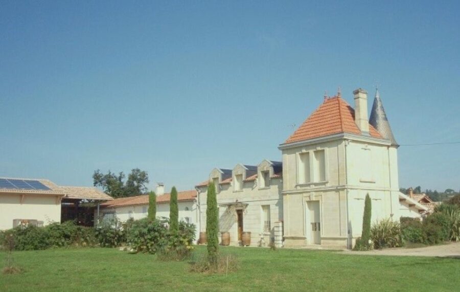 Saint-Émilion: Family Vineyard Visit with Wine Tasting - An In-Depth Look at the Tour Experience