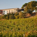 Saint-Emilion: Grand Cru Classé Guided Winery Visit & Picnic - Who Will Love This Tour?