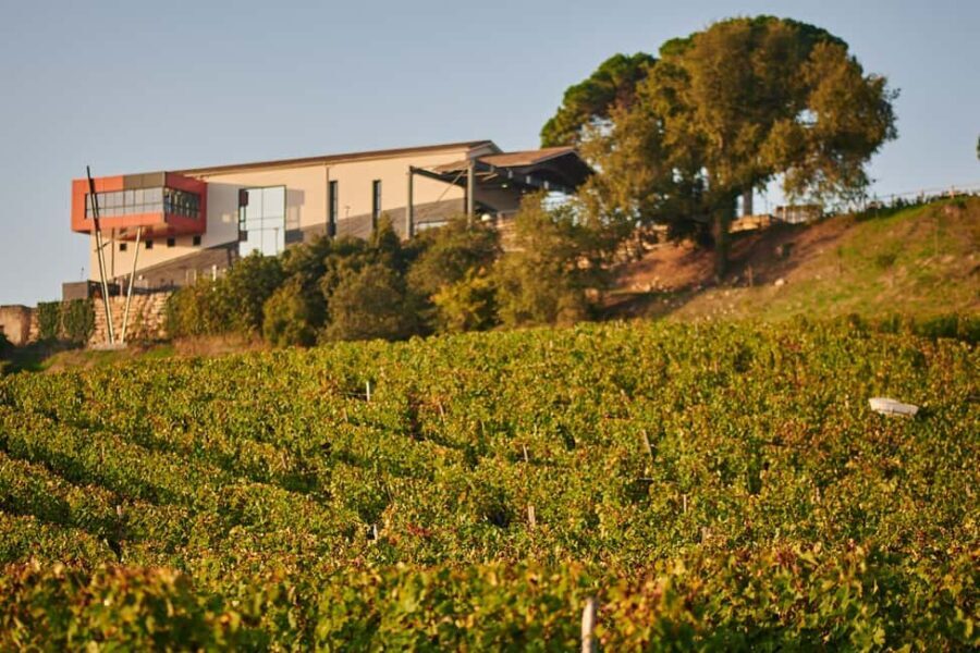 Saint-Emilion: Grand Cru Classé Guided Winery Visit & Picnic - Who Will Love This Tour?