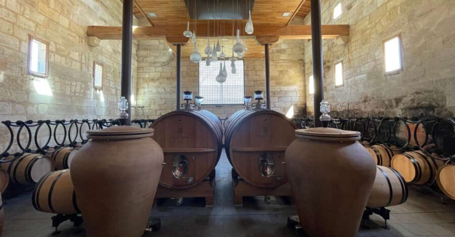 Saint-Emilion : half-day wine-tour into classified estates - Who Will Love This Tour?