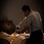 Saint-Émilion: Origin Tour - Tasting of 5 wines - Final Thoughts: Why This Tour is a Great Choice
