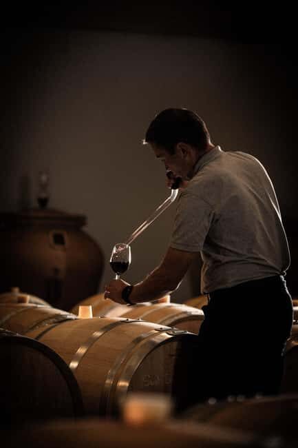 Saint-Émilion: Origin Tour - Tasting of 5 wines - Final Thoughts: Why This Tour is a Great Choice
